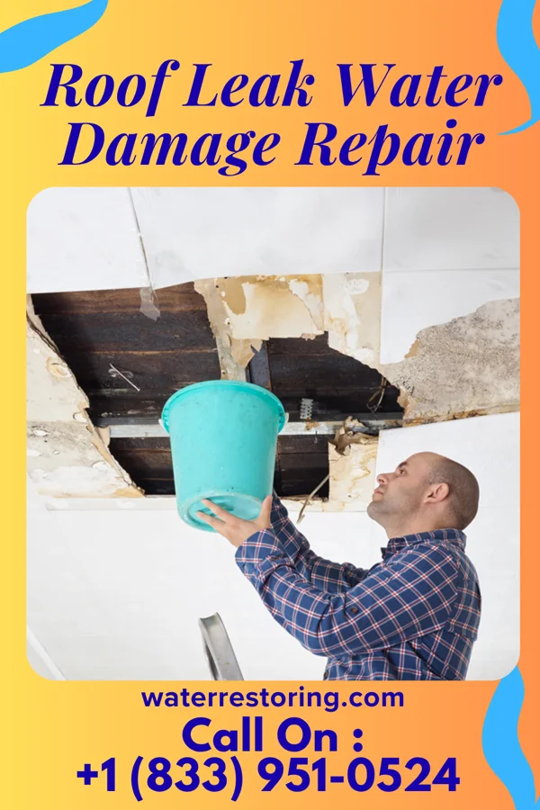 Roof Leak Water Damage Repair in Clements, MN